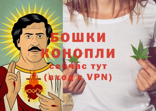 гашиш Богданович