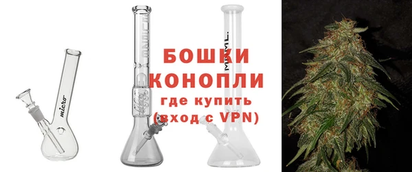 гашиш Богданович