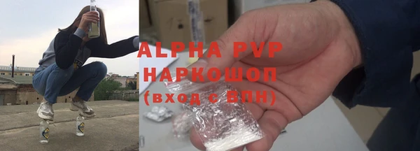 гашиш Богданович