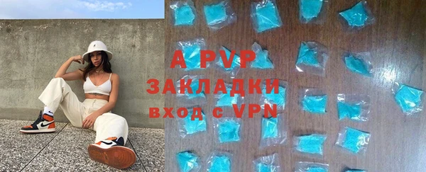 гашиш Богданович