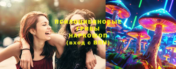 гашиш Богданович