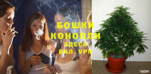 гашиш Богданович